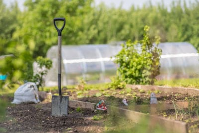 What Is A Garden Spade – Garden Spade Uses And Tips