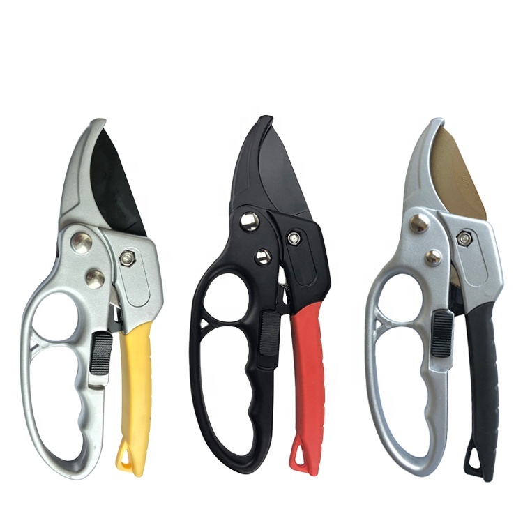 Garden Scissors